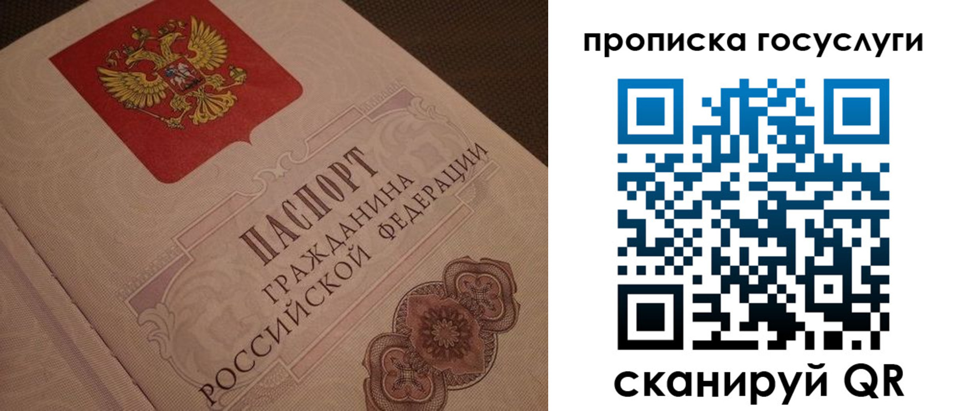прописка для работы в Щёкино